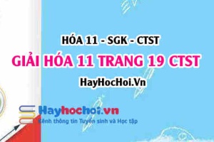 Giải Hóa 11 trang 19 SGK Chân trời sáng tạo